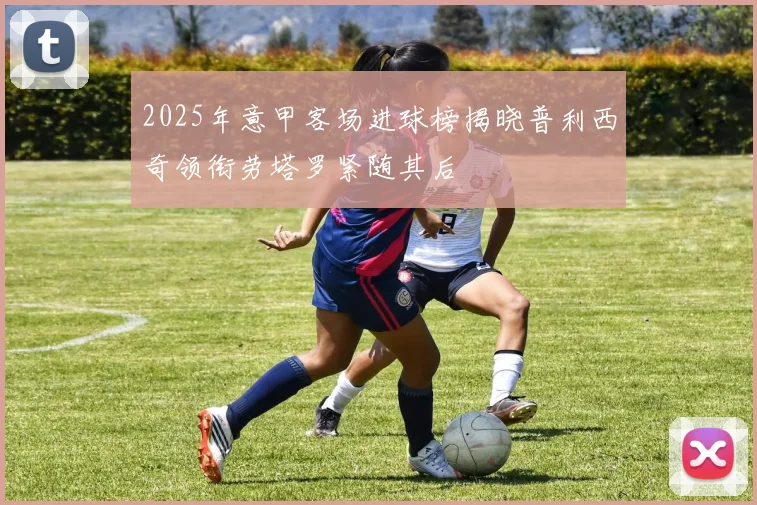 2025年意甲客场进球榜揭晓普利西奇领衔劳塔罗紧随其后