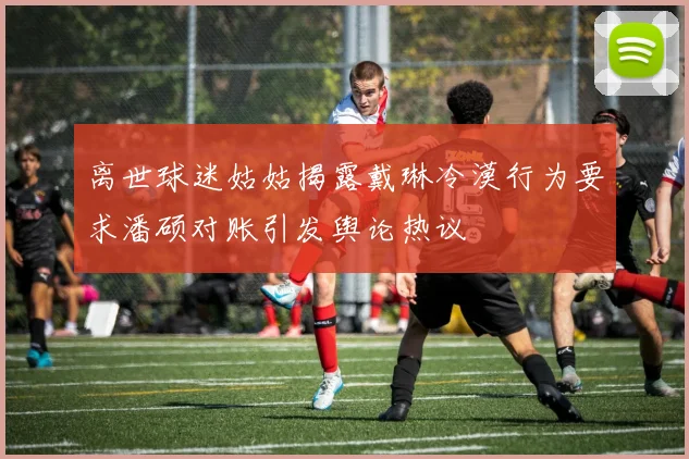 离世球迷姑姑揭露戴琳冷漠行为要求潘硕对账引发舆论热议