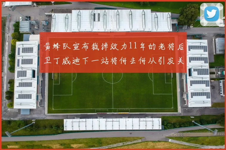黄蜂队宣布裁掉效力11年的老将后卫丁威迪下一站将何去何从引发关注