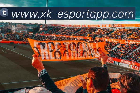 App Interface Preview