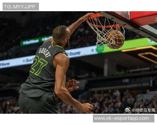 太阳解说：戈贝尔为何选择挑战场上最小的球员而不敢惹追梦