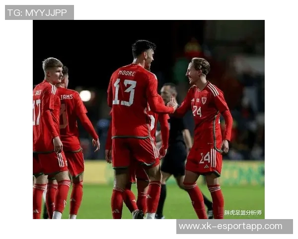 世欧预赛地面对抗表现出色球员榜单揭晓多库领衔克瓦拉茨赫利亚与布拉德利紧随其后